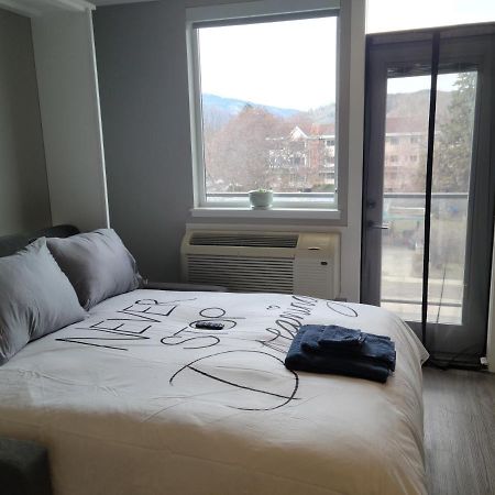 Cozy Studio Suite, 15Min Walk To Downtown كيلوانا المظهر الخارجي الصورة